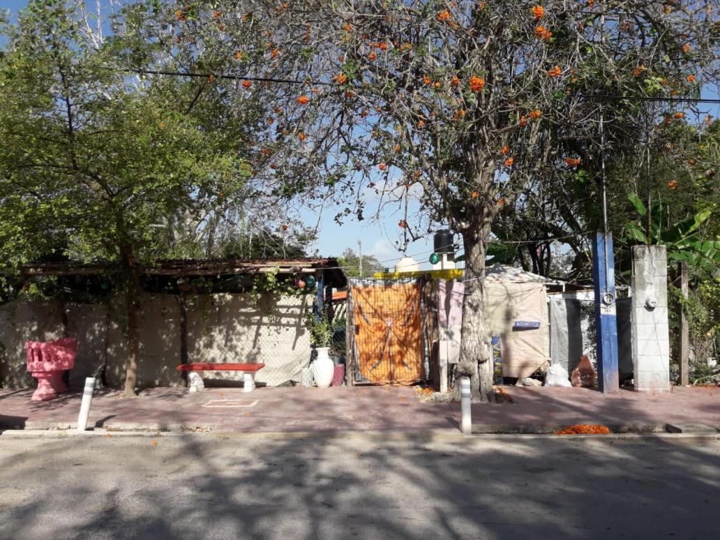 Hostal Y Camping Las G Bacalar Εξωτερικό φωτογραφία